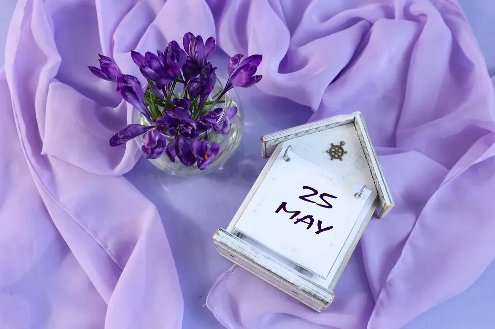 Как использовать энергию новолуния 27 мая 2025 для новых начинаний. Фото © Shutterstock / FOTODOM / MARYIA SAMALEVICH