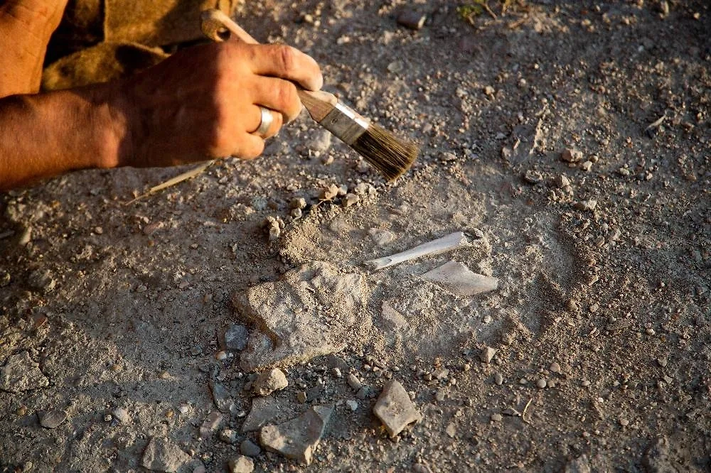 Обложка © Shutterstock / FOTODOM / Kostyantyn Skuridin