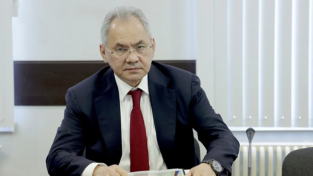 Сергей Шойгу. Обложка © ТАСС / Вячеслав Прокофьев