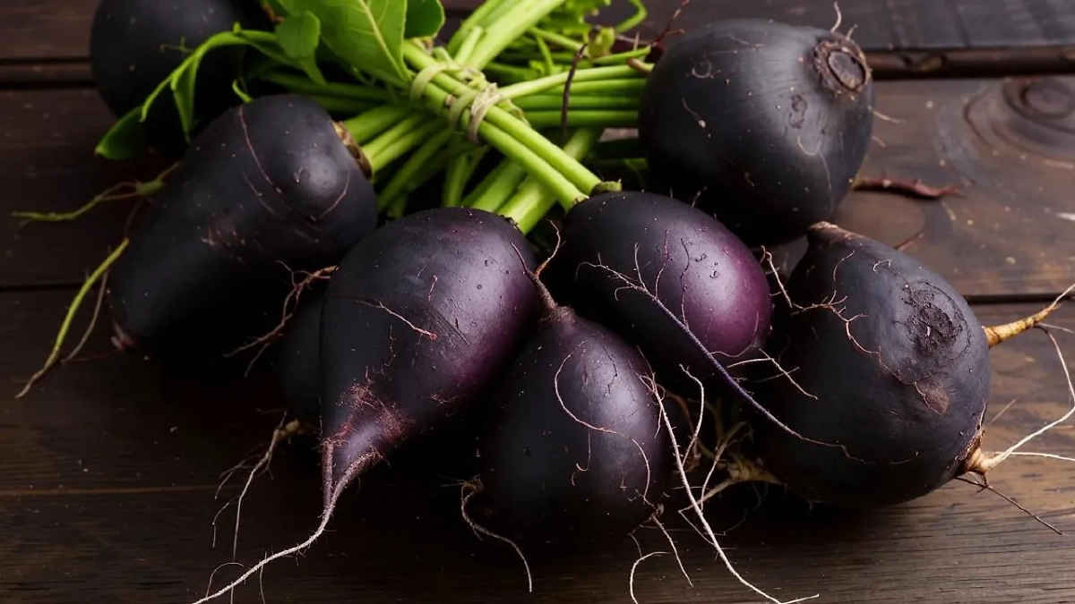 Редька. Обложка © Kandinsky 3.1