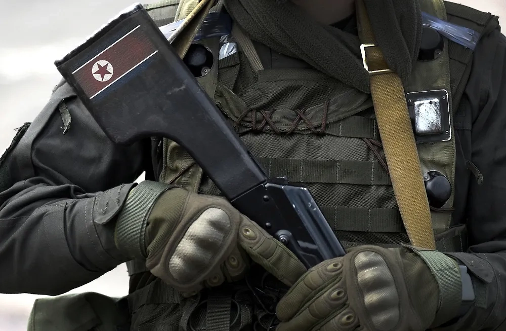 Обложка © Shutterstock / FOTODOM / Bumble Dee