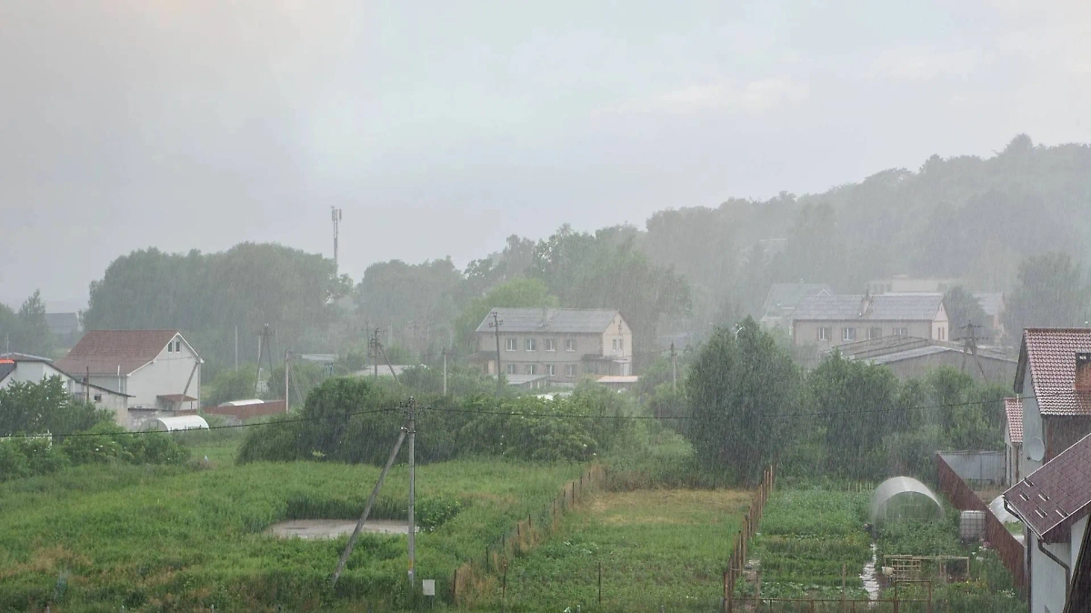 На Кузьму-огородника много примет, некоторые из них — о том, как пройдёт лето. Фото © Shutterstock / FOTODOM / SeagullNady