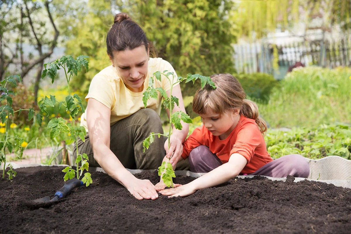Календарь садовода и огородника 2025: если у вас есть дача, вы знаете, что делать. Обложка © Shutterstock / FOTODOM / Ulza