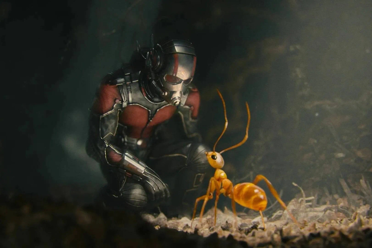 «Человек-муравей». Фото © Кадр из фильма «Человек-муравей», режиссёр Пейтон Рид, сценаристы  Адам Маккей, Пол Радд, Стэн Ли и др. / Kinopoisk