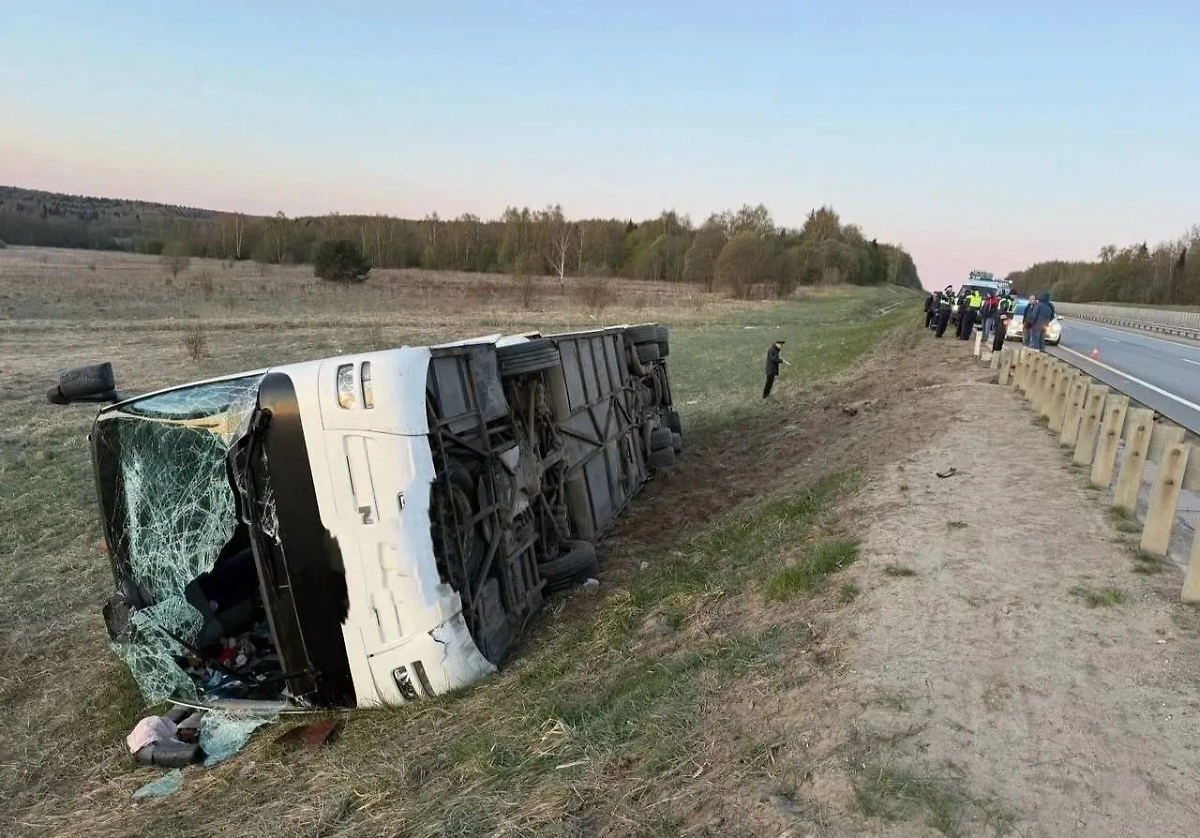 Во Владимирской области автобус съехал в кювет. Обложка © VK / УМВД России по Владимирской области