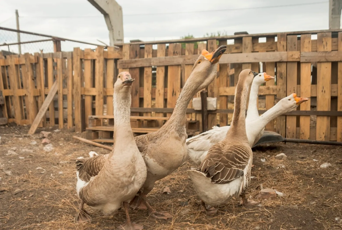 Обложка © freepik