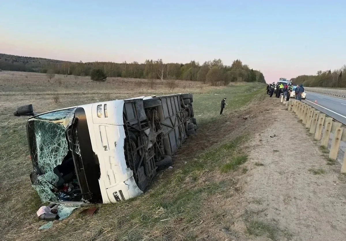 Обложка © VK / УМВД России по Владимирской области