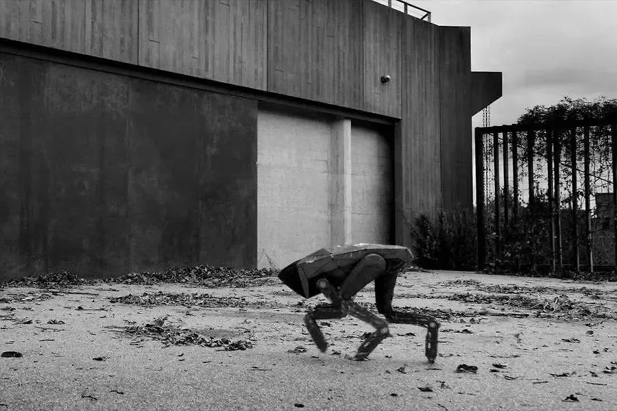 Роботы-собаки могут заменить настоящих собак на работе, но никогда не заменят их в нашем сердечке. Фото © Кадр из фильма «Чёрное зеркало», режиссёр Алисса Пэнкив и др. / Kinopoisk