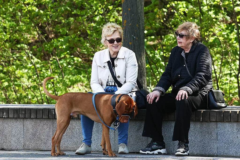 Юристы рассказали, кому повысят пенсию летом. Обложка © ТАСС / Сергей Булкин