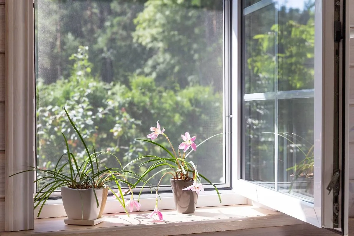 Одно из самых эффективных средств — противомоскитные сетки. Фото © Shutterstock / FOTODOM / Olga_Ionina