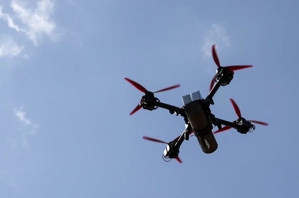 Обложка © ТАСС / Александр Полегенько