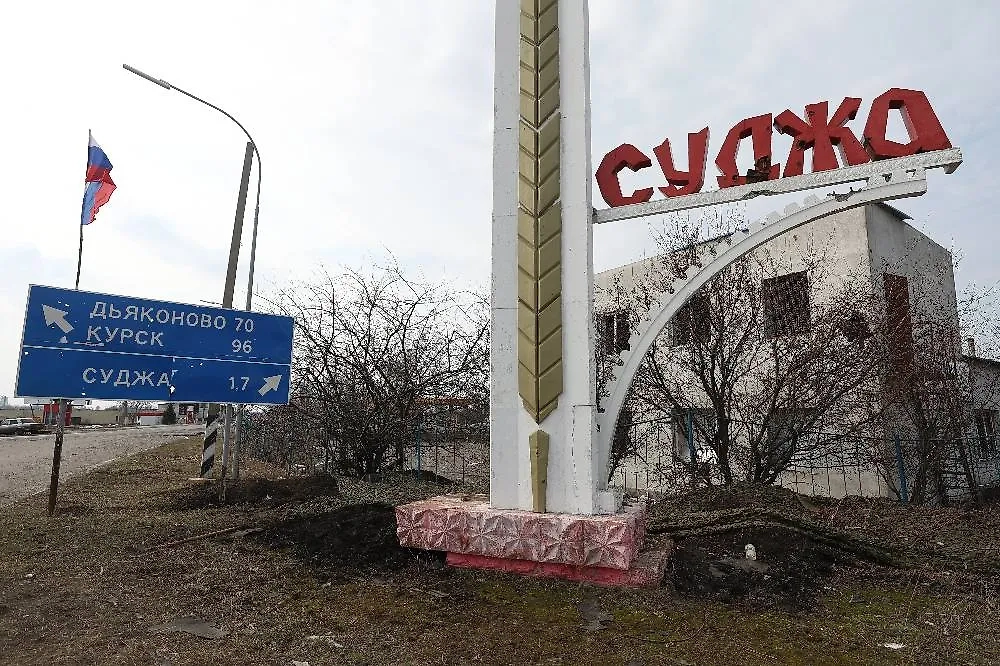 Обложка © ТАСС / Егор Алеев