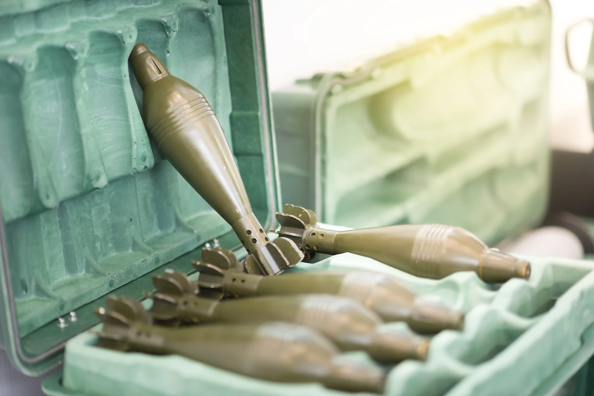 Обложка © Shutterstock  / FOTODOM / MakDill