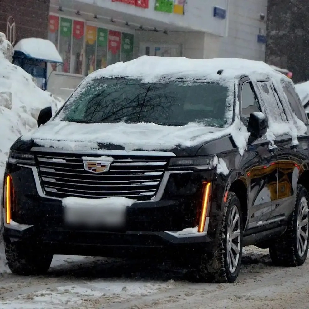 Машина Елены Голуновой. Фото © SHOT