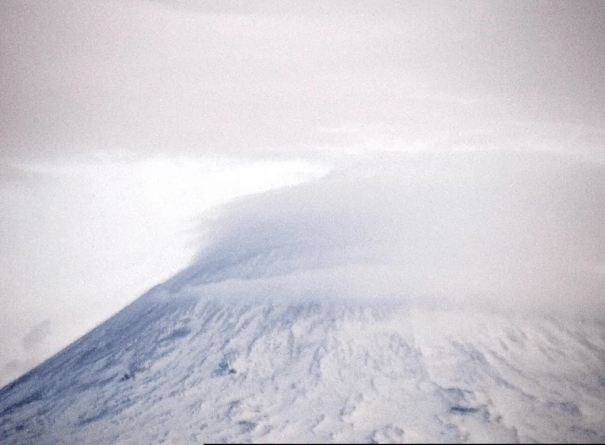 Обложка © Telegram / Пресс-служба ИВиС ДВО РАН