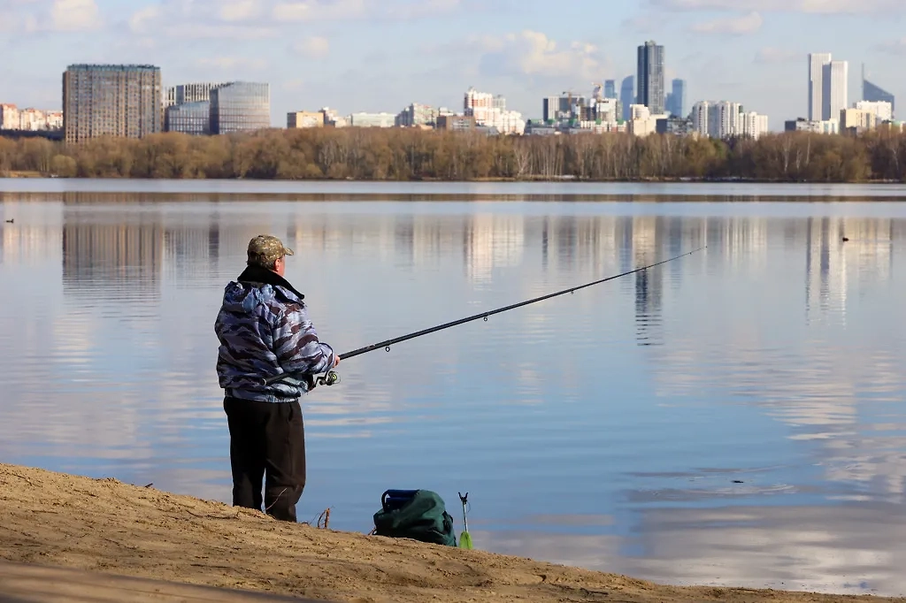  Обложка © ТАСС / Олег Елков