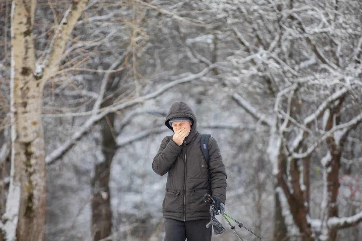 Обложка © Life.ru