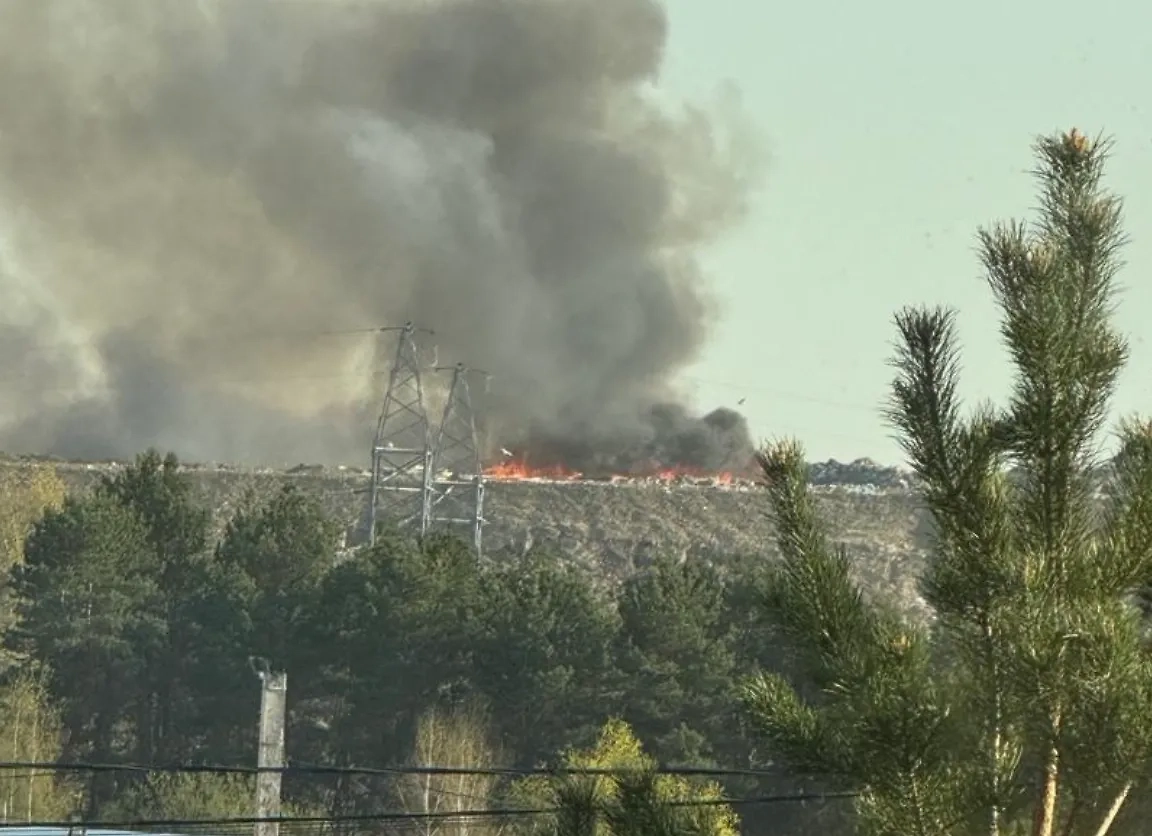 В Подмосковье загорелся Тимоховский полигон. Обложка © VK / Я на Ялагина