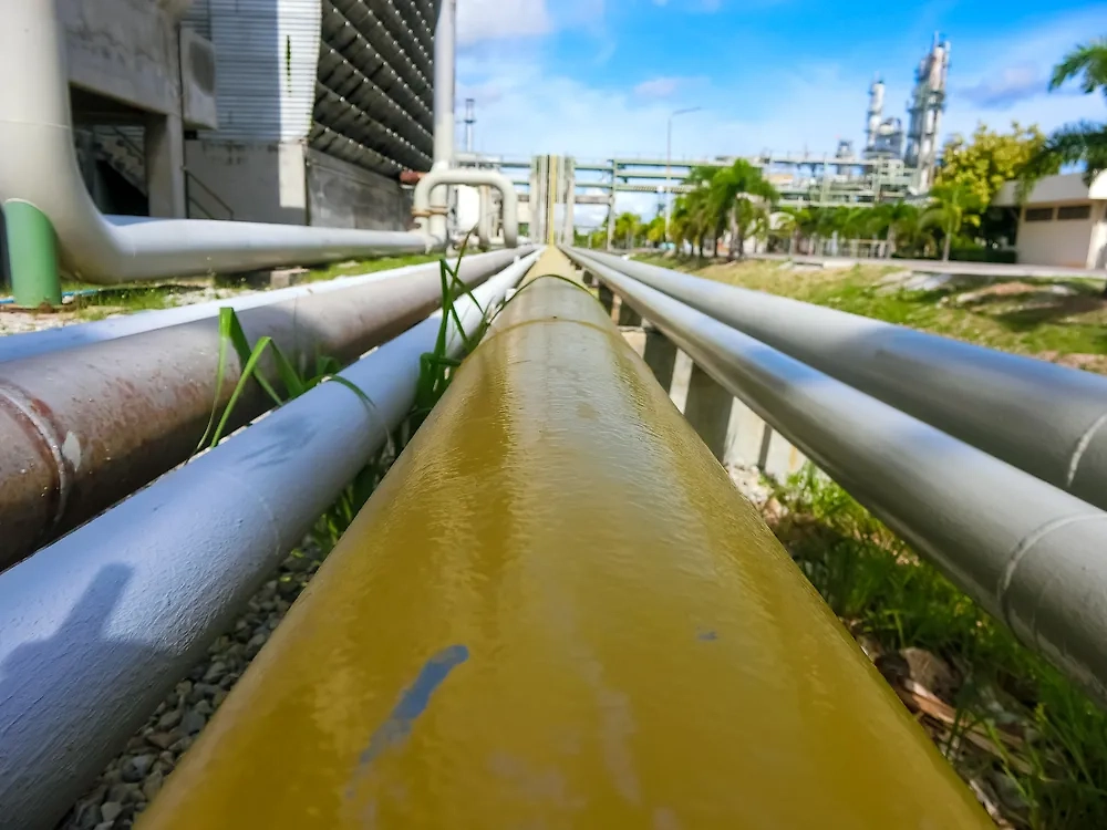 Обложка © Shutterstock / FOTODOM / PPJF