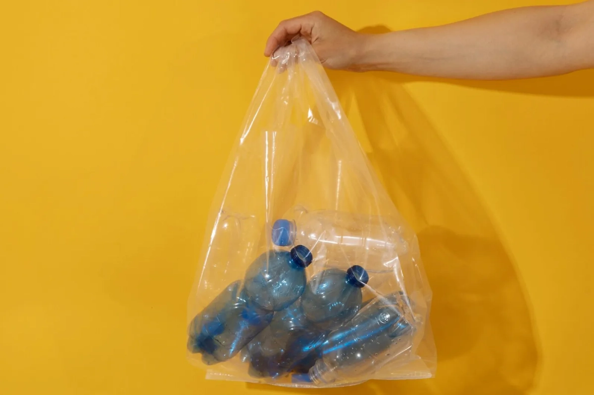 Обложка © freepik