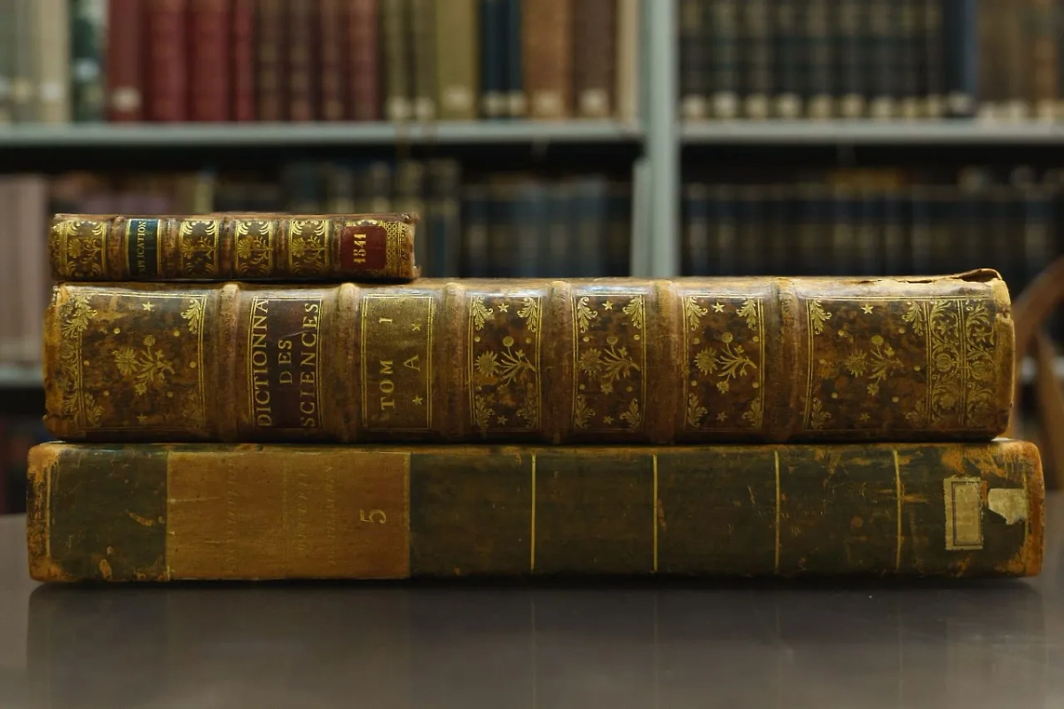 Обложка © Telegram / Пушкинский музей