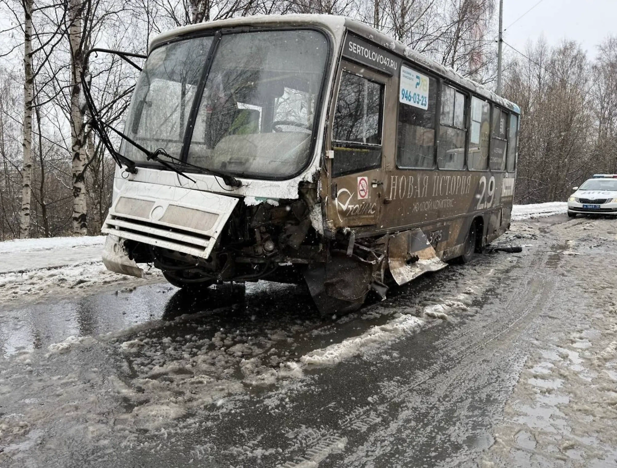 ДТП в Карелии. Обложка © VK / Госавтоинспекция Петрозаводска