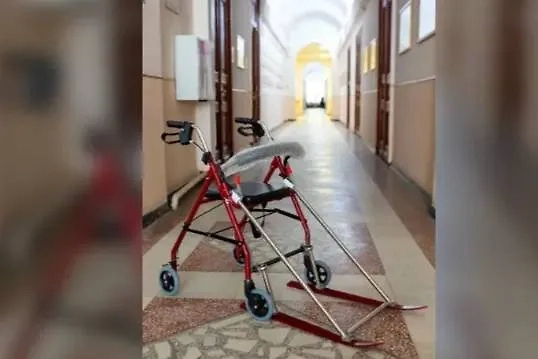 Ходунки с лыжами. Обложка © ПГУ / «Газета.ru»