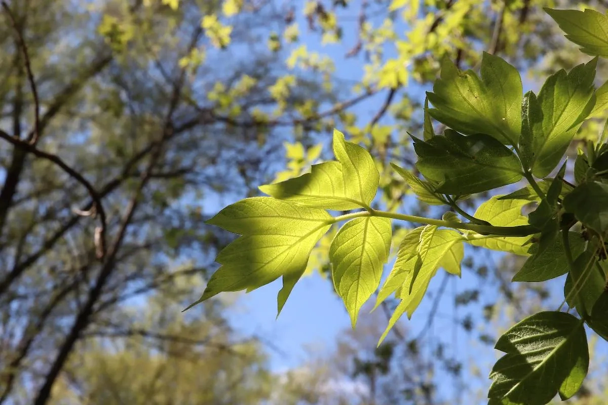 Обложка © Shutterstock / FOTODOM / antithesisw