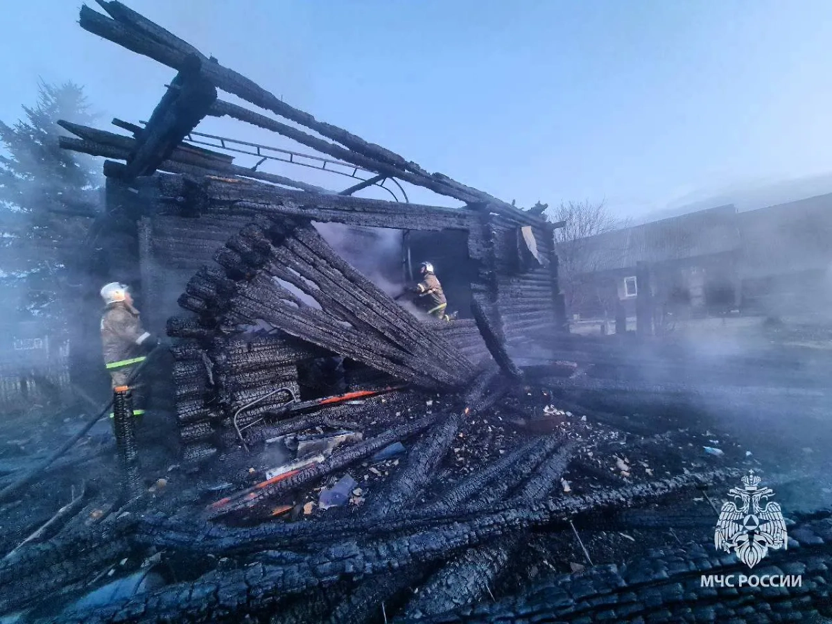 Семья погибла при пожаре в Нижегородской области. Фото © Пресс-служба МЧС России