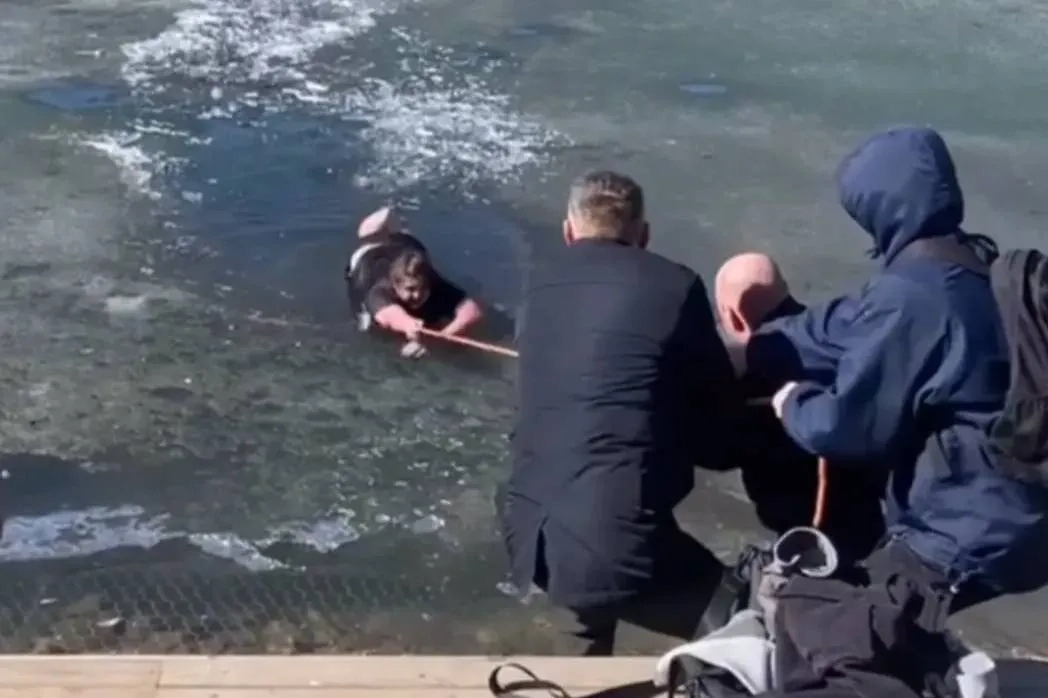 Спасение собаки из воды в Вологде. Обложка © Telegram / tvn35