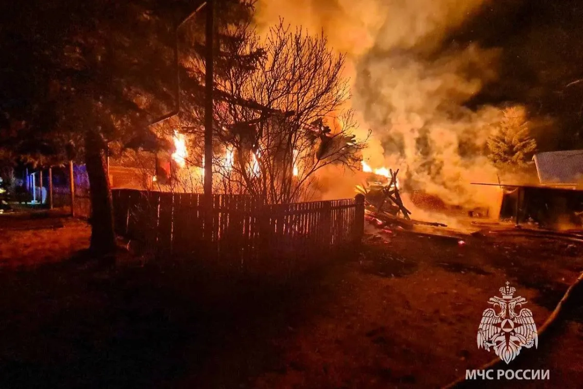 Семья погибла при пожаре в Нижегородской области. Обложка © Пресс-служба МЧС России
