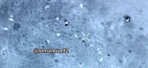 Остывающие тела украинских солдат в белгородском приграничье. Фото © Соцсети