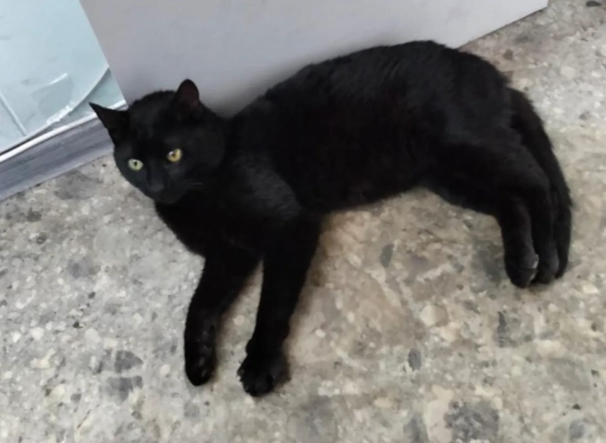 Фото © vk.com/ Транспортная группа FESCO