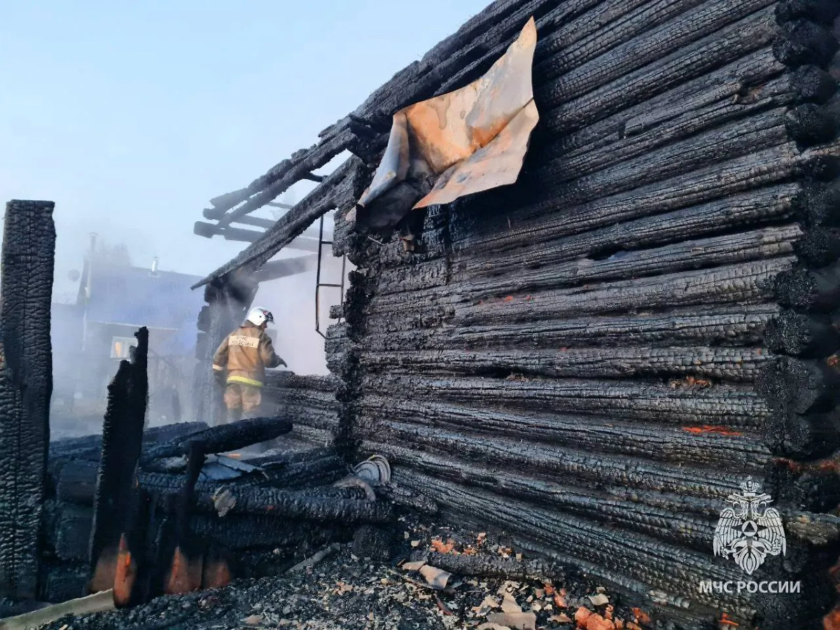 Семья погибла при пожаре в Нижегородской области. Фото © Пресс-служба МЧС России