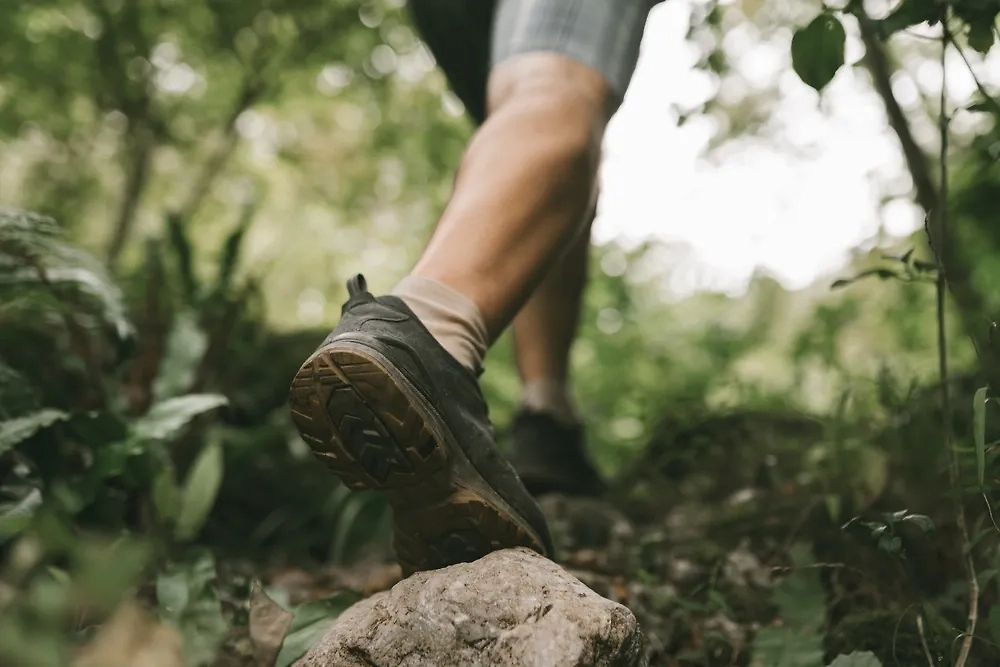 Обложка © Shutterstock / FOTODOM / avtk