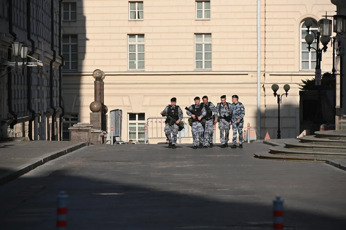 В Югре предотвращён теракт против бойца добровольческого батальона МО РФ. Обложка © Life.ru
