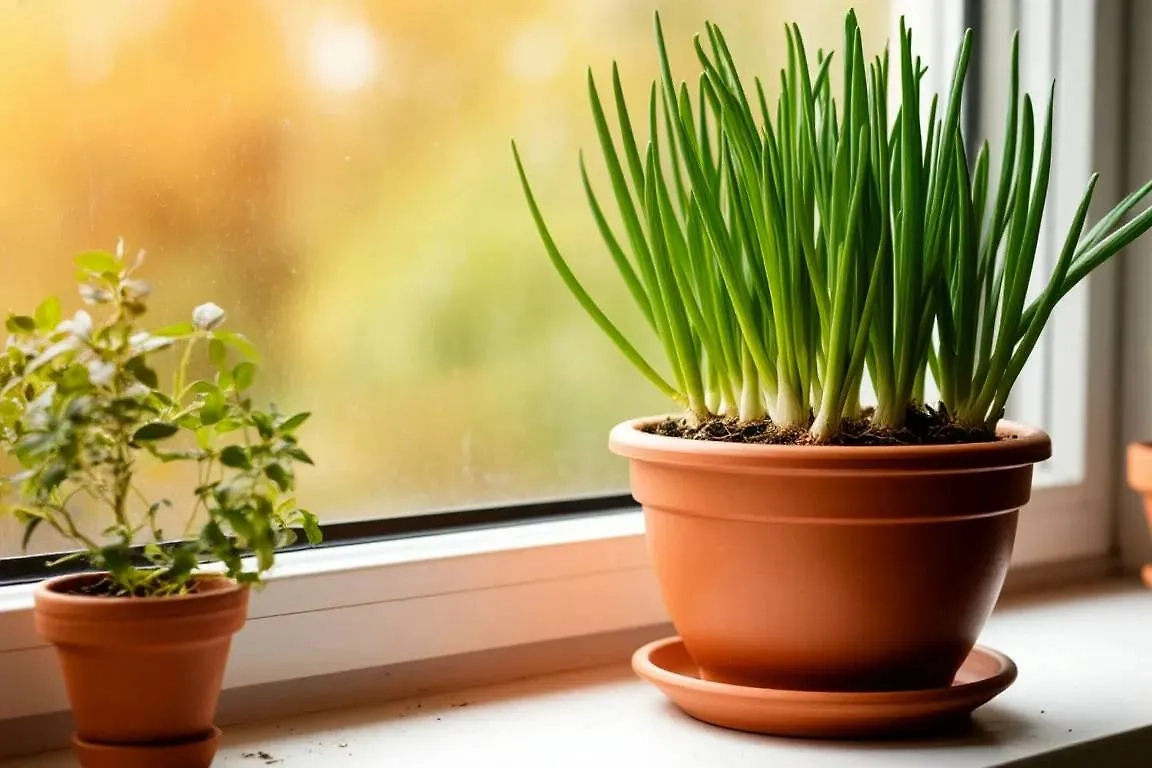 Фото © «Шедеврум»