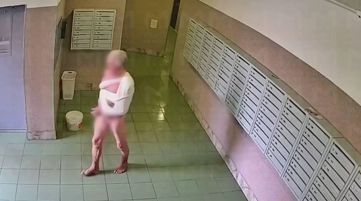 Обложка © Telegram / «Mash на Мойке»