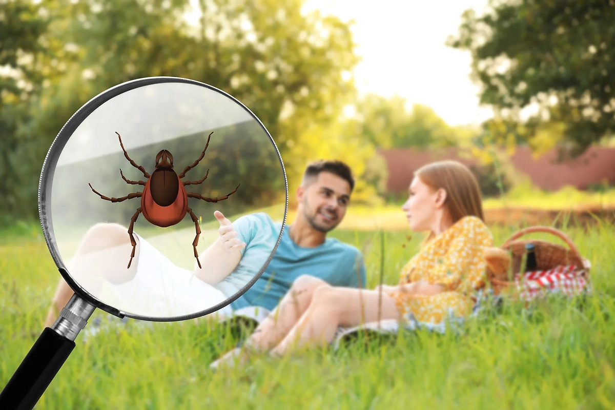 Как защититься от клещей на майских шашлыках: проверенные способы. Обложка © Shutterstock / FOTODOM / New Africa