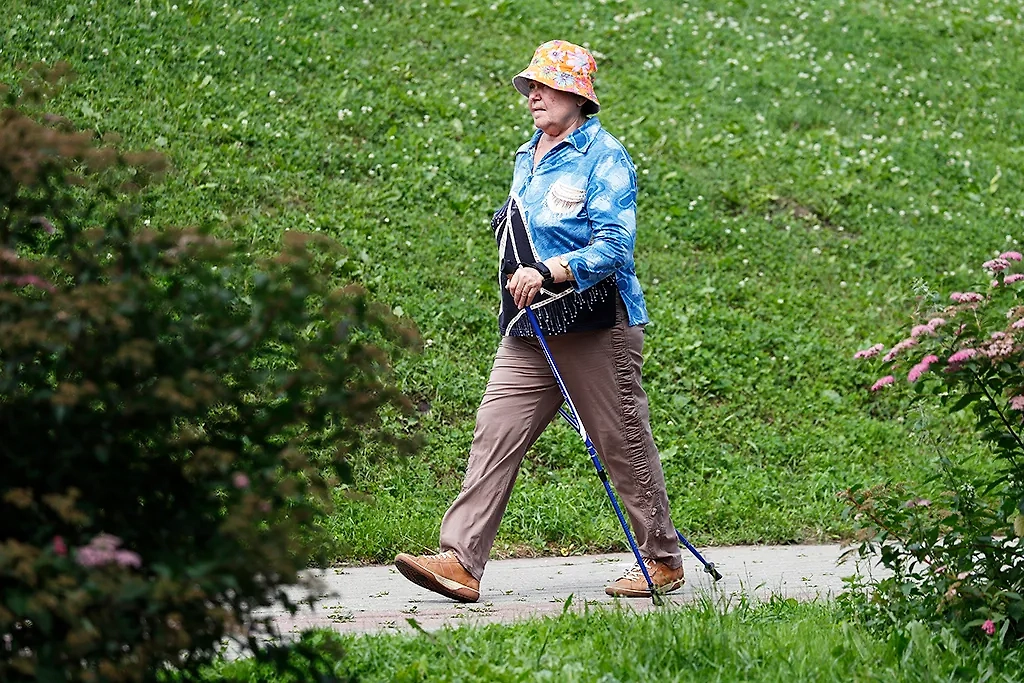 Юристы рассказали, от каких выплат освободят пенсионеров этой весной. Обложка © ТАСС / Артём Геодакян