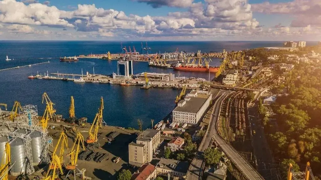 Обложка © Shutterstock / FOTODOM / Iryna Kalamurza