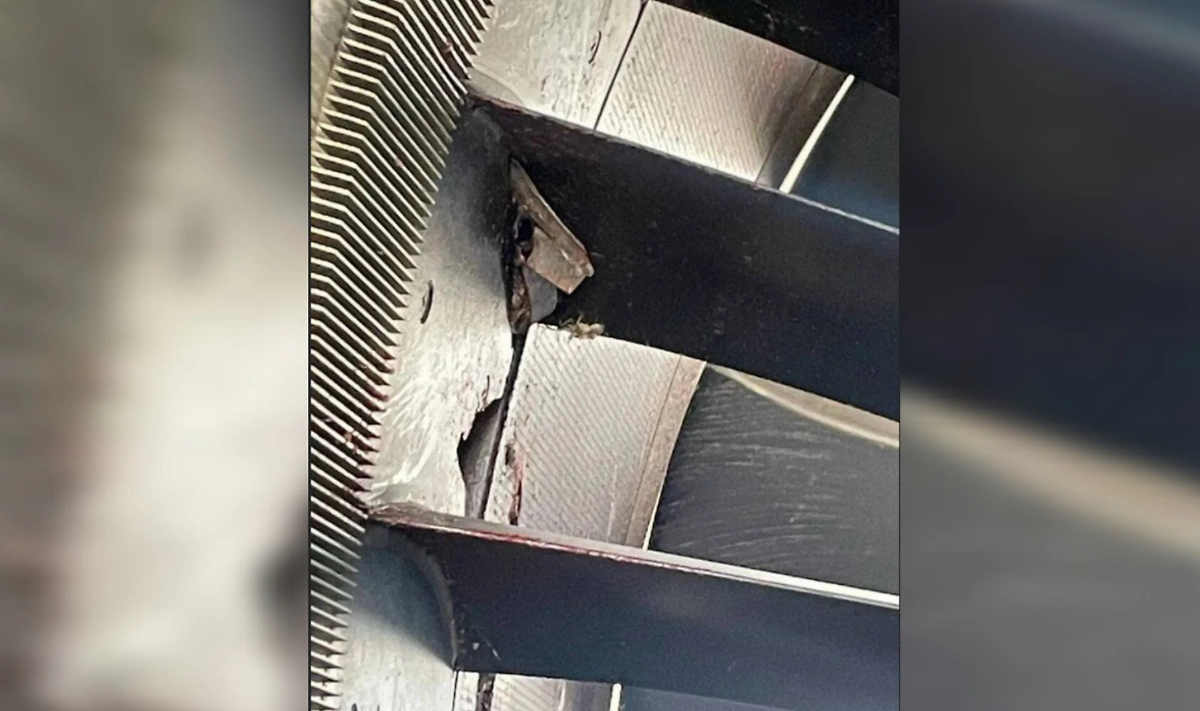 Самолёт «Уральских авиалиний» столкнулся с птицей. Фото © Telegram / UralAirlines_Official