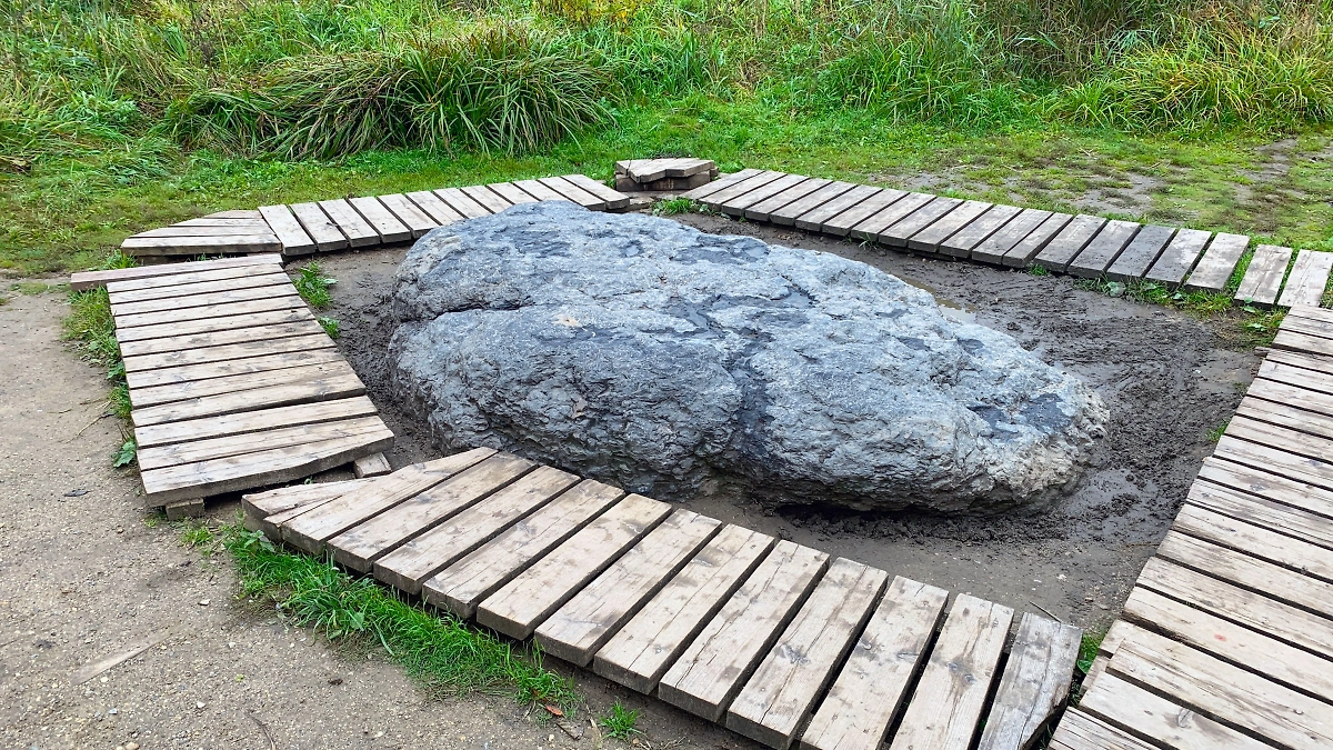 Синий камень у Переславля-Залесского и правда синий. Он был святыней мерян. Фото © Wikipedia / Sergey Sebelev