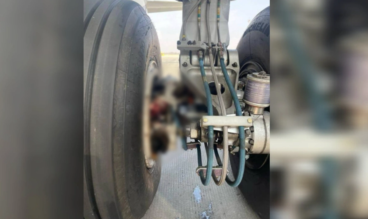 Самолёт «Уральских авиалиний» столкнулся с птицей. Обложка © Telegram / UralAirlines_Official