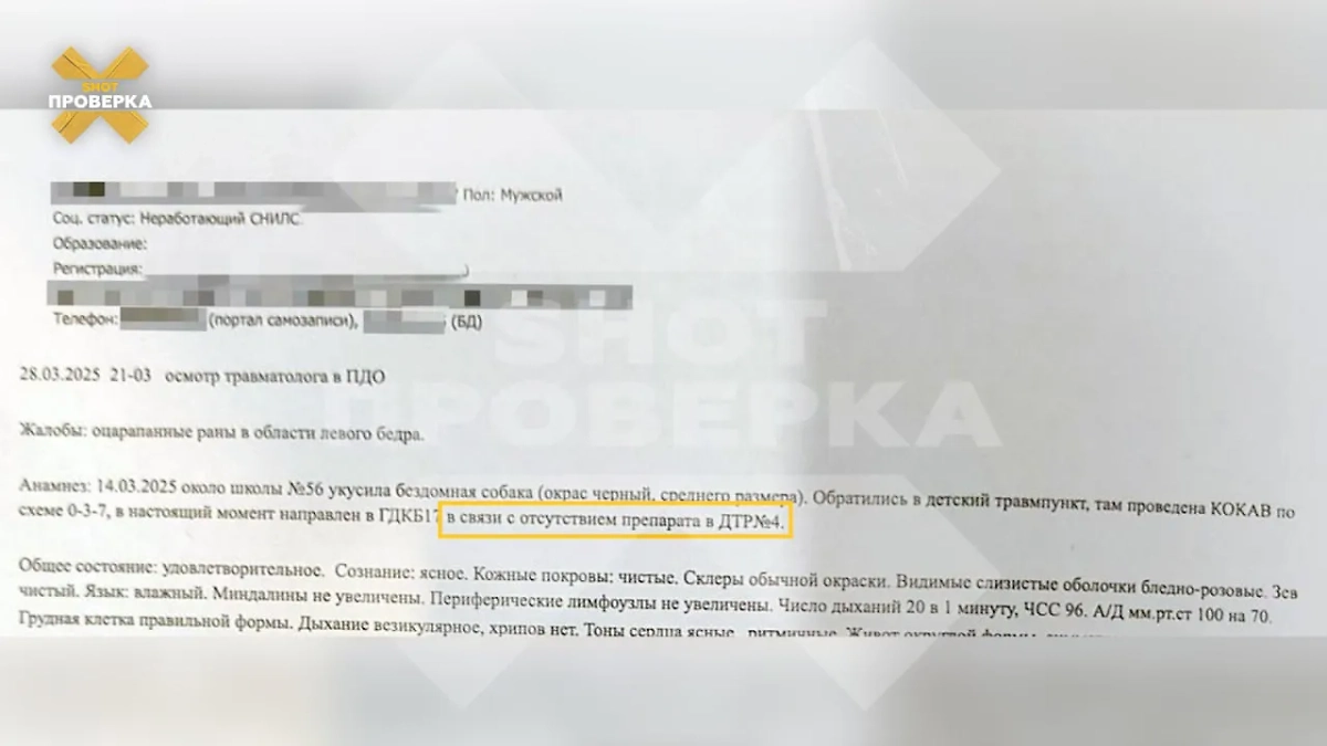 Фото © SHOT ПРОВЕРКА