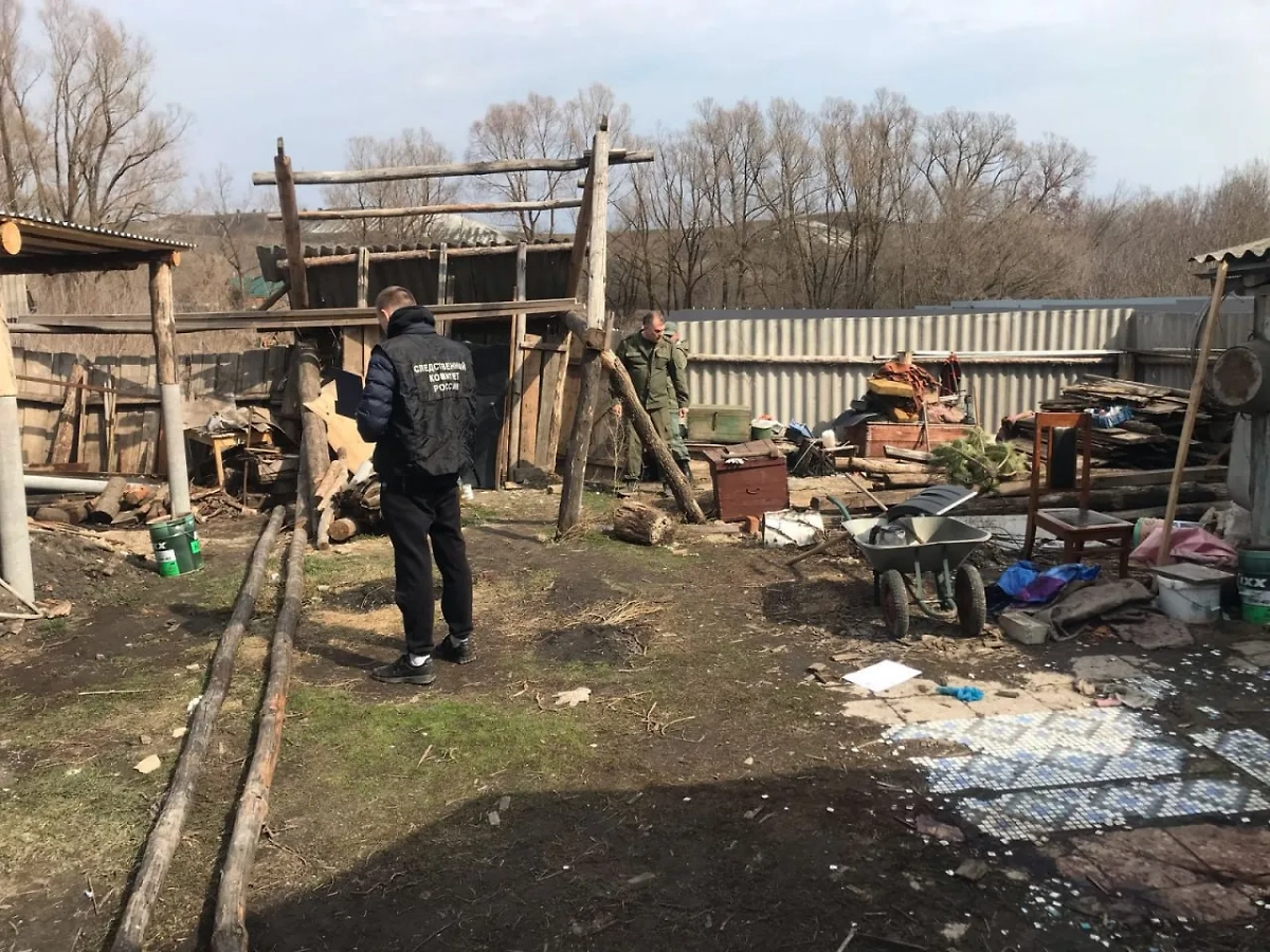 Фото © Telegram / СУ СКР по Ульяновской области