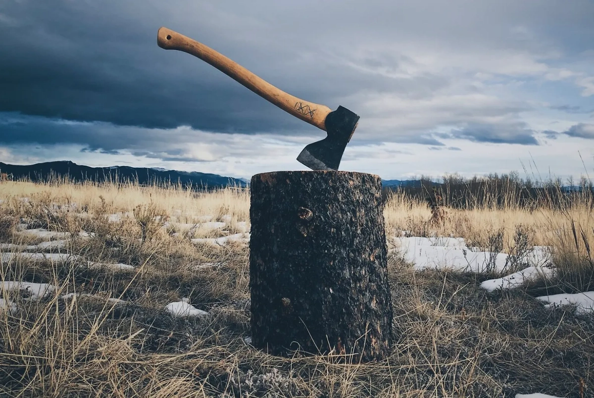 Девочку под Ульяновском убили топором. Обложка © freepik / wirestock