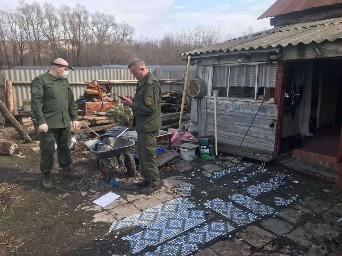 Фото © Telegram / СУ СКР по Ульяновской области