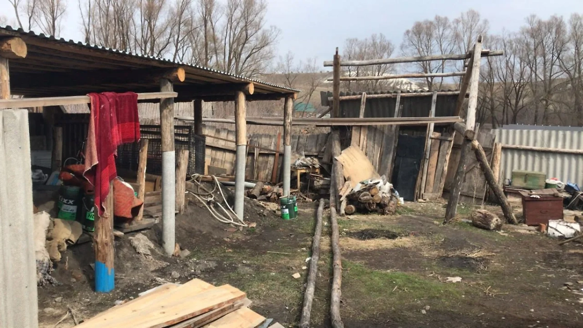 Фото © Telegram / СУ СКР по Ульяновской области