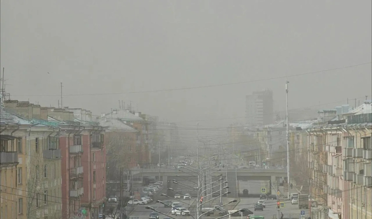 Фото © Telegram / Наш Красноярский край